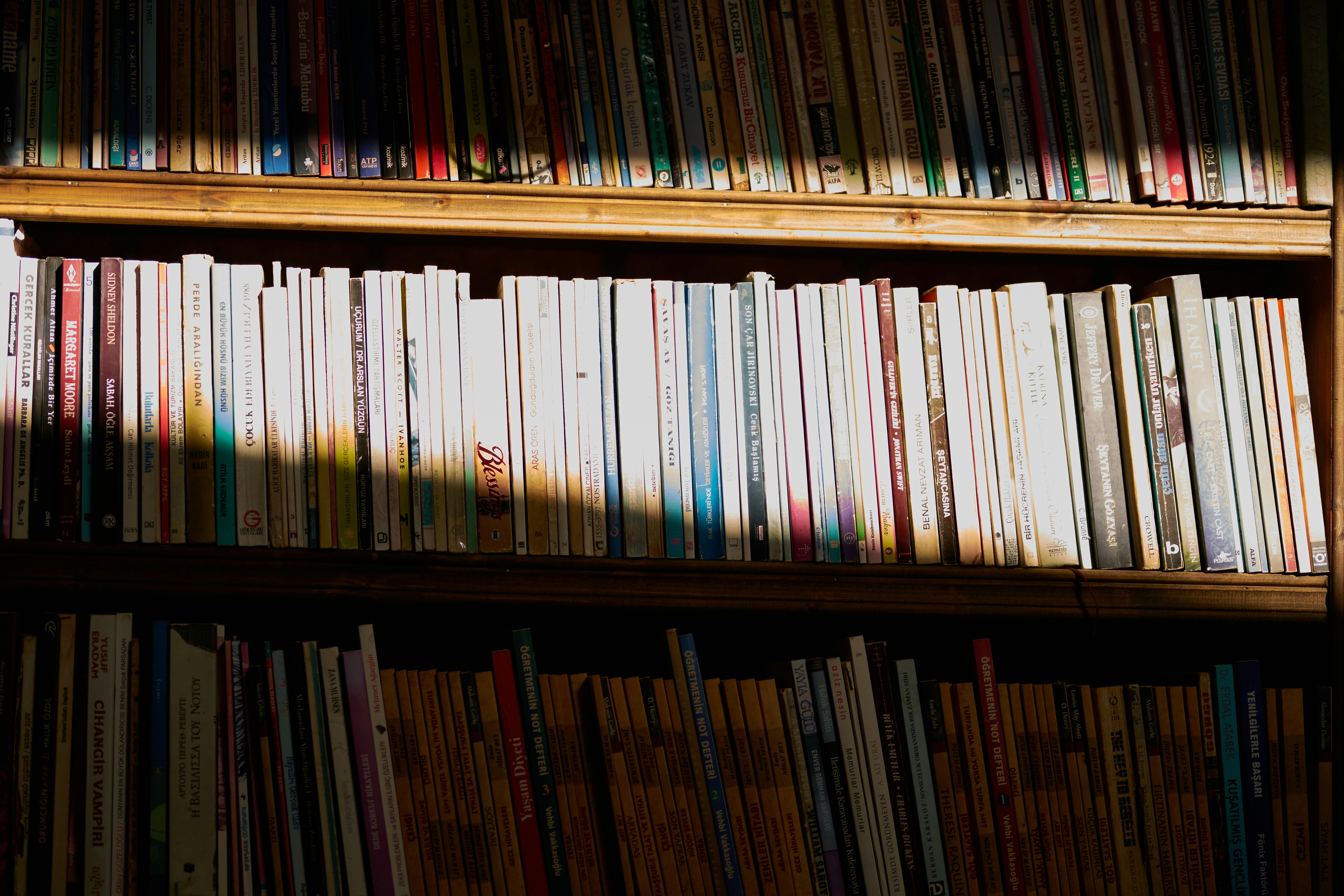 books on shelves, indicative of publishing
