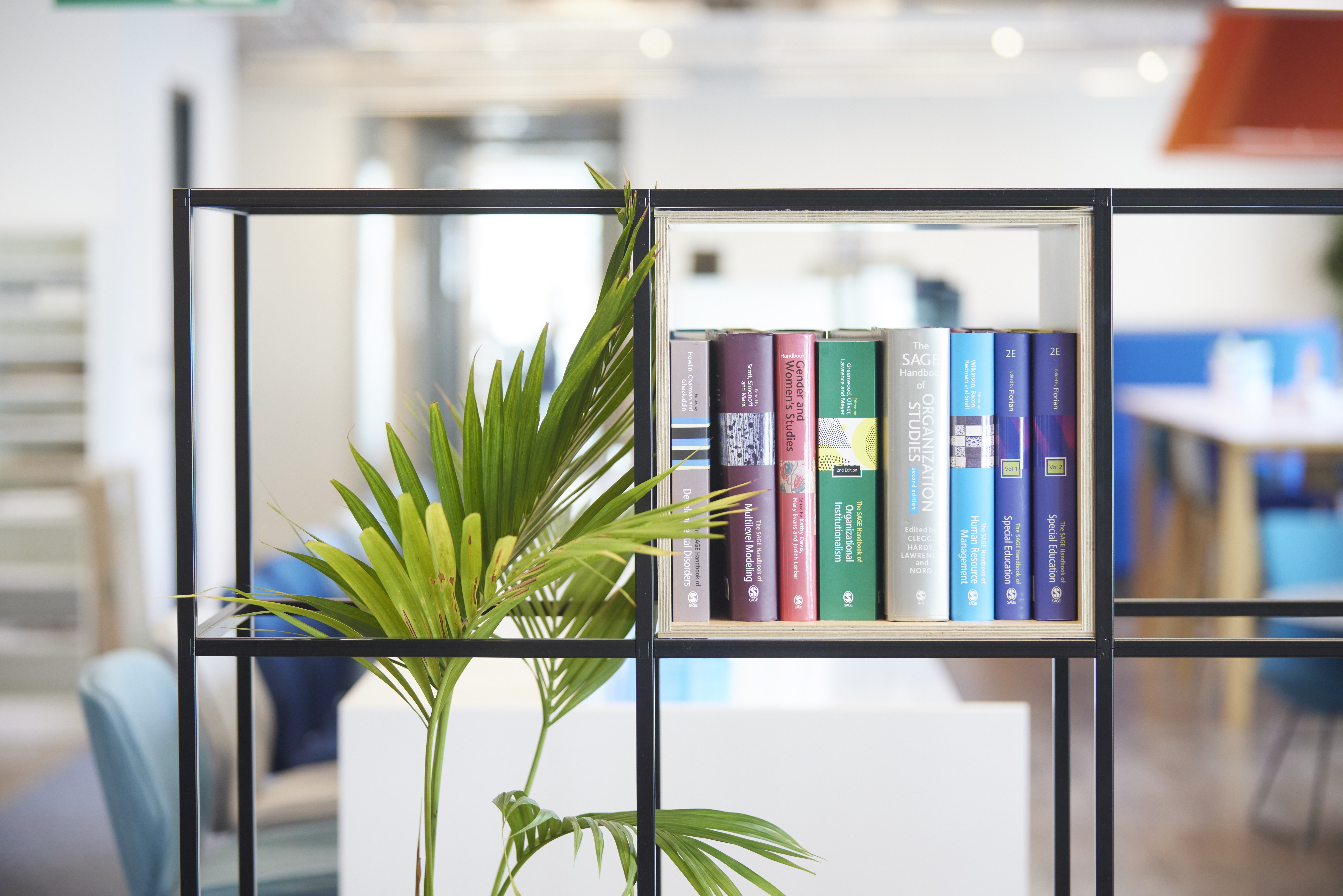 A shelf  with a row of books and a plant growing up next to them. Tables and chairs are in the background.